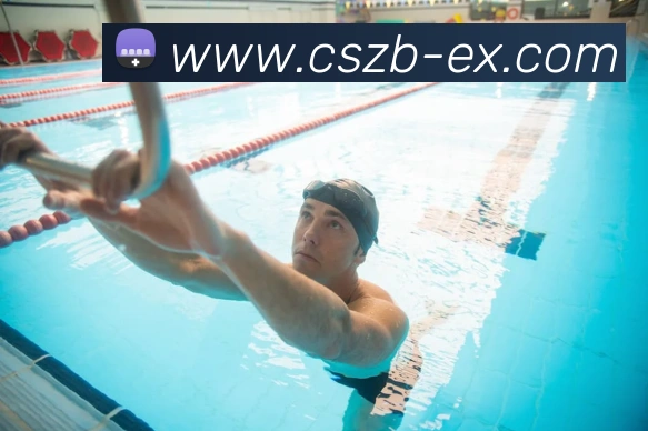 彩神争霸平台生态图